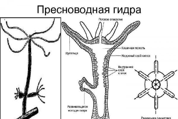 Новый адрес кракен