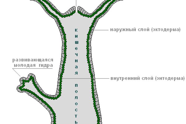 2krn cc кракен